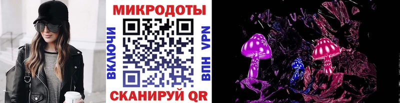 где можно купить   Вязники  Псилоцибиновые грибы мицелий 